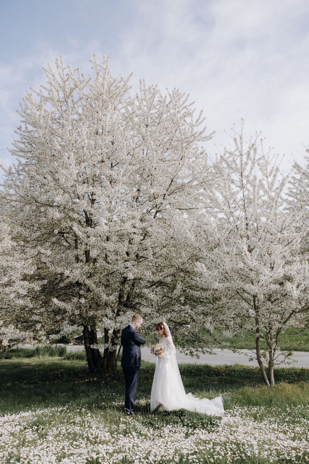 A couple poses under blooming white cherry blossom trees surrounded by delicate spring flowers in a romantic setting.