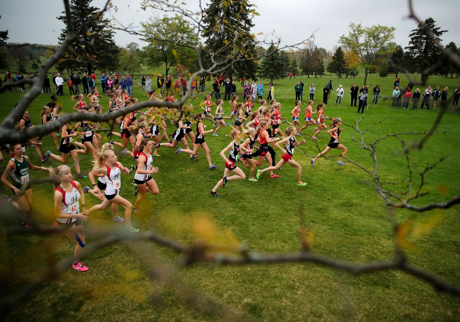 Cross country runners can be seen through the branches of a tree during a meet.