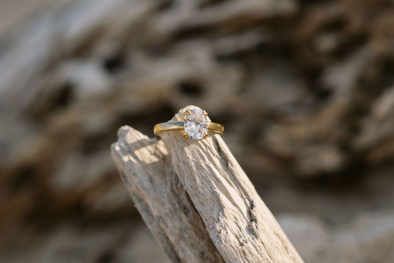 A delicate diamond engagement ring sits perched on weathered driftwood with natural lighting highlighting its sparkle.