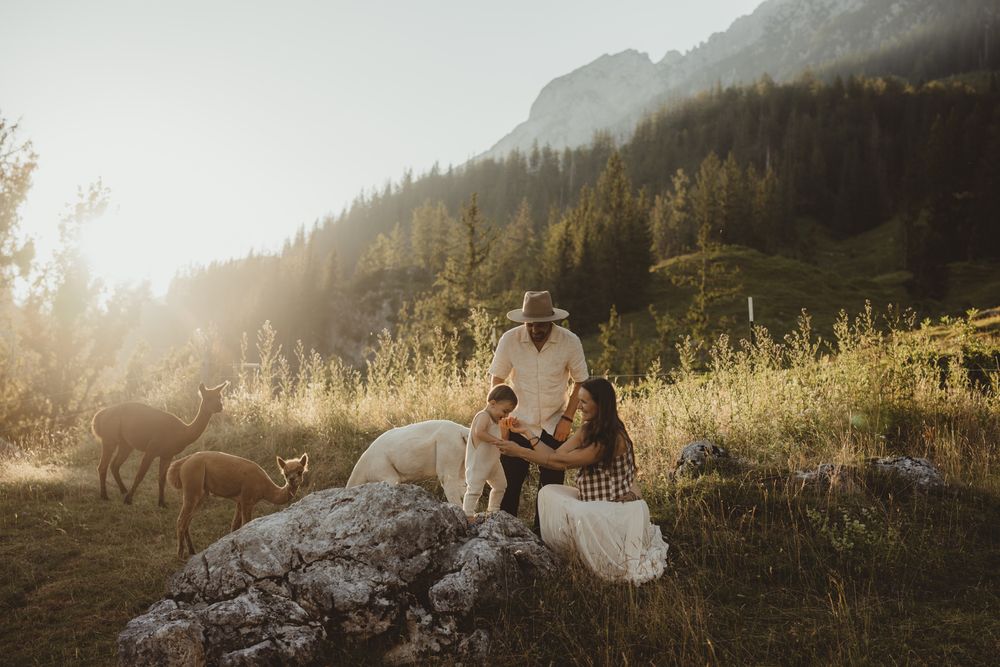 Mountain engagement photo shoot in a scenic wilderness meadow during golden hour sunset with dramatic peaks in background.