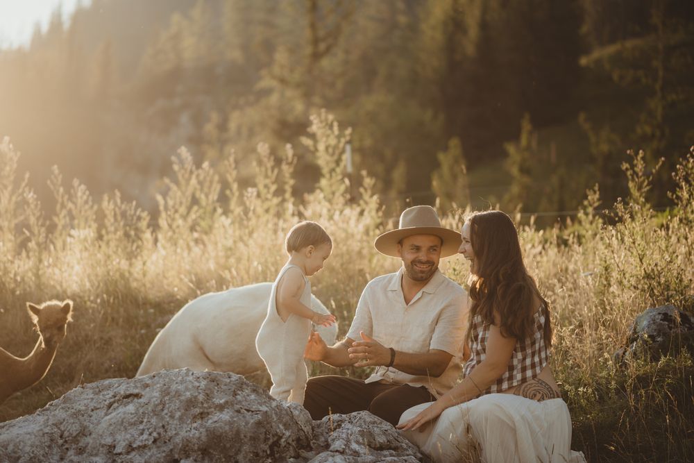 A family sits together on a large rock in a sunlit meadow surrounded by tall golden grass and forest.