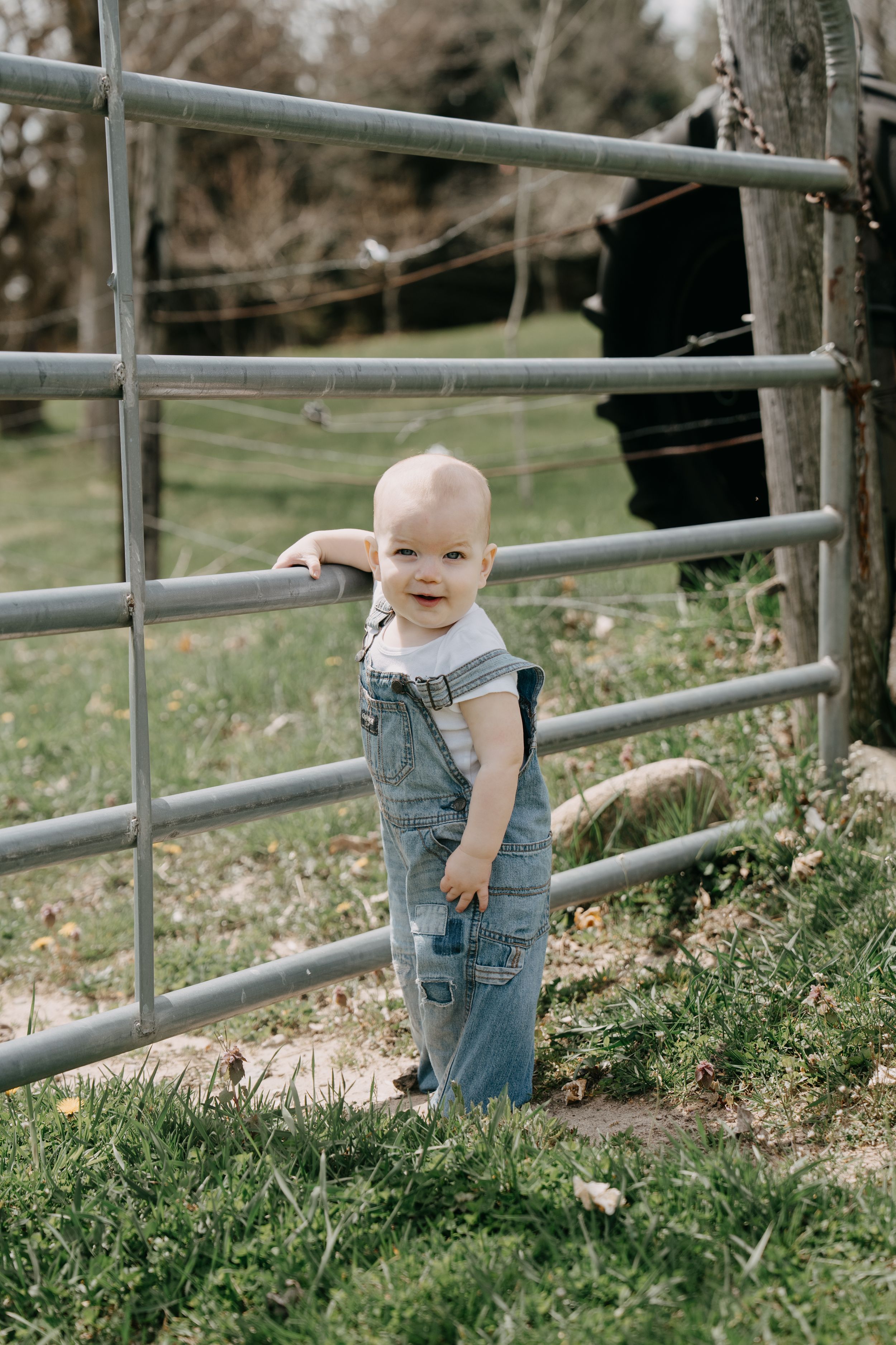 Toddler in denim overalls stands smiling beside metal farm gate on grassy ground.