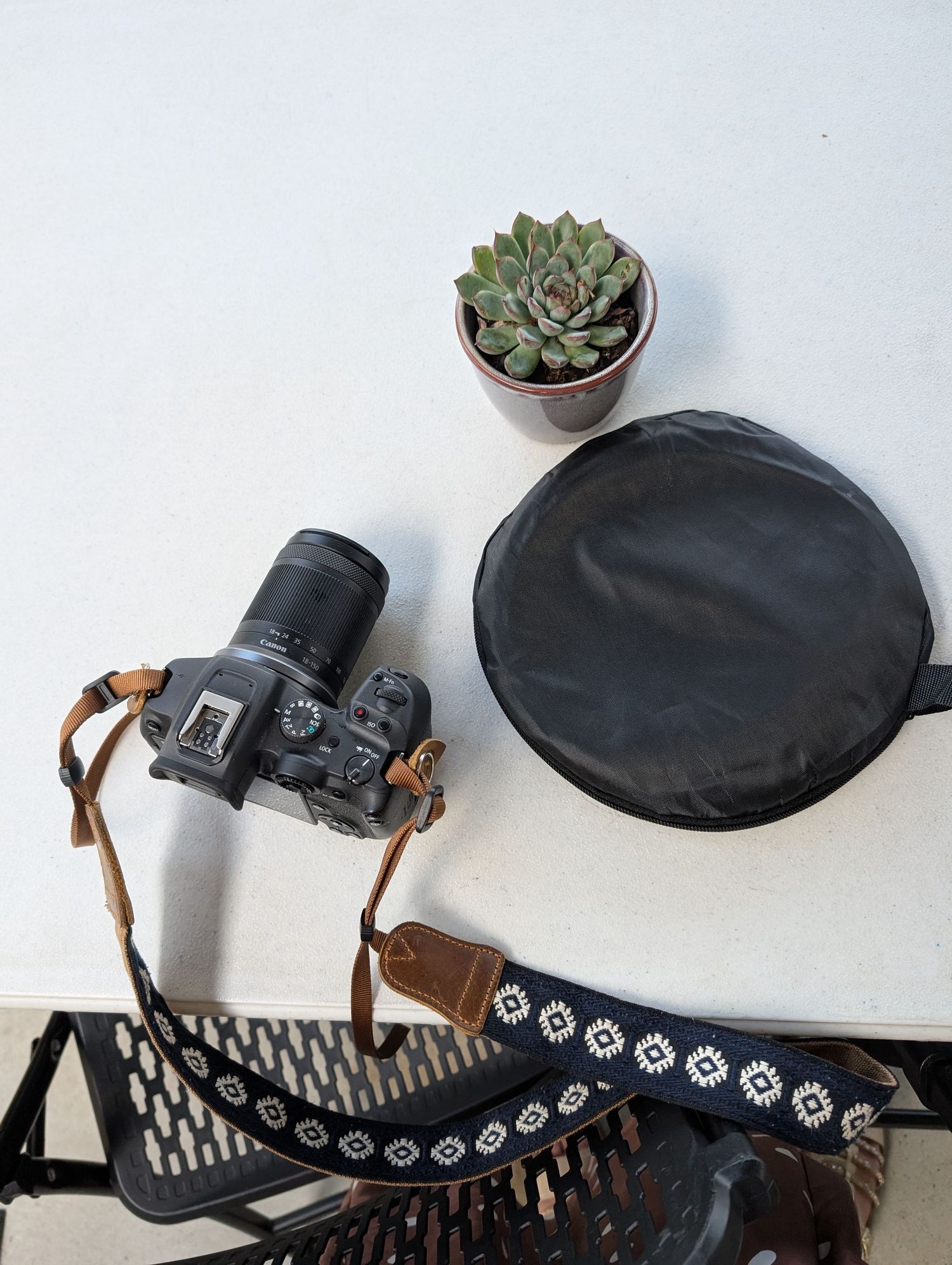 A black camera with leather strap sits beside a potted succulent and black circular case on a white surface.