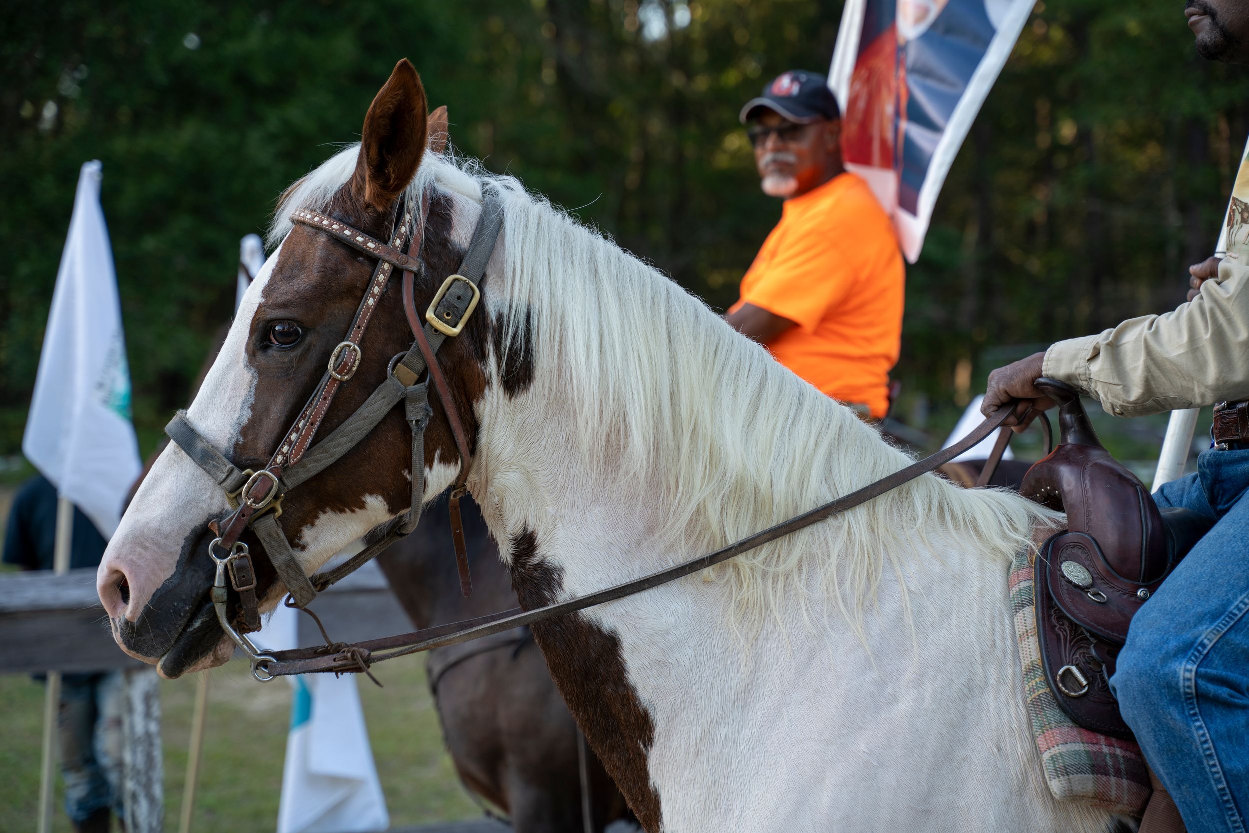 A group of horseback riders in a line at equestrian trail ride through a wooded area during daytime.