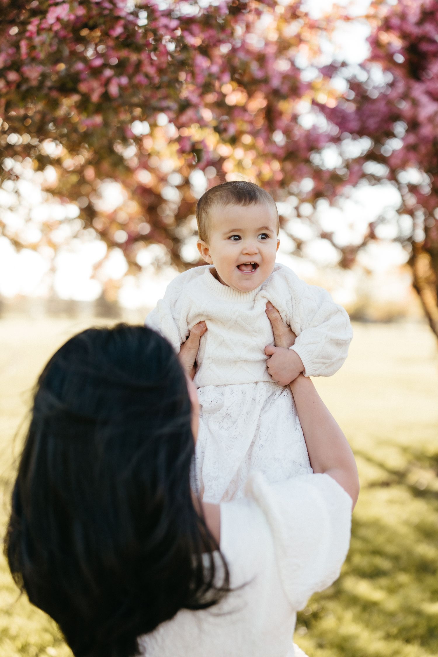 family portraits, cherry blossom spring photography in Moncton, family photography lifestyle portraits in New Brunswick, natural light photo