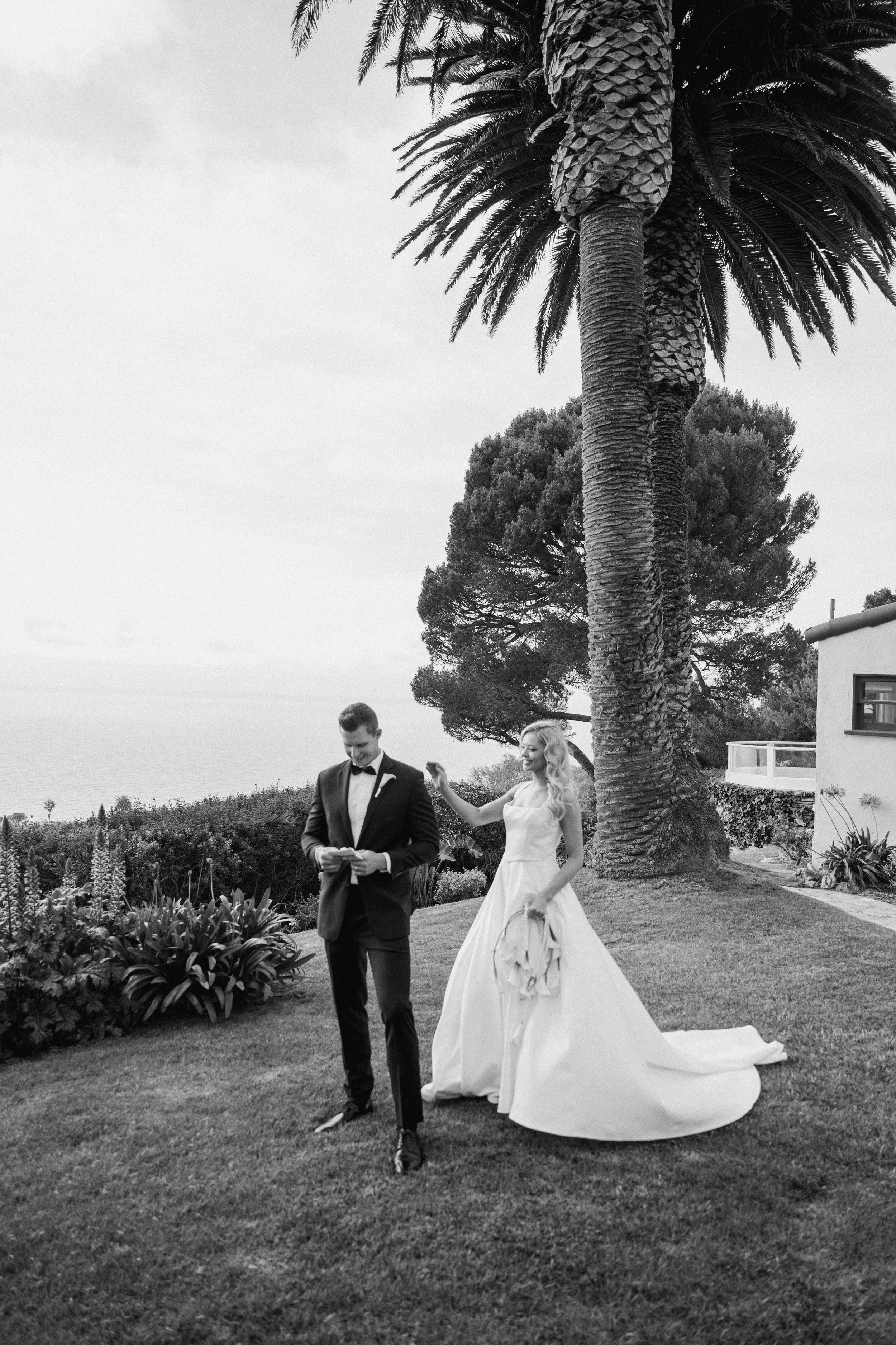 Black and white wedding photo showing a couple standing on a lawn next to a tall palm tree.