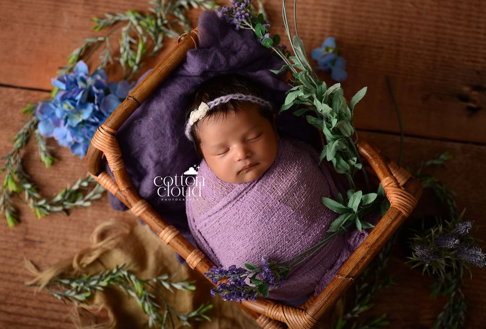 lavender and blue flowers newborn portrait in the Macarthur region by Cotton Cloud Photography