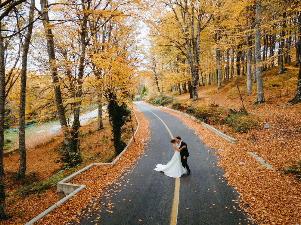 Scenic autumn road lined with golden trees features newlyweds in the distance.