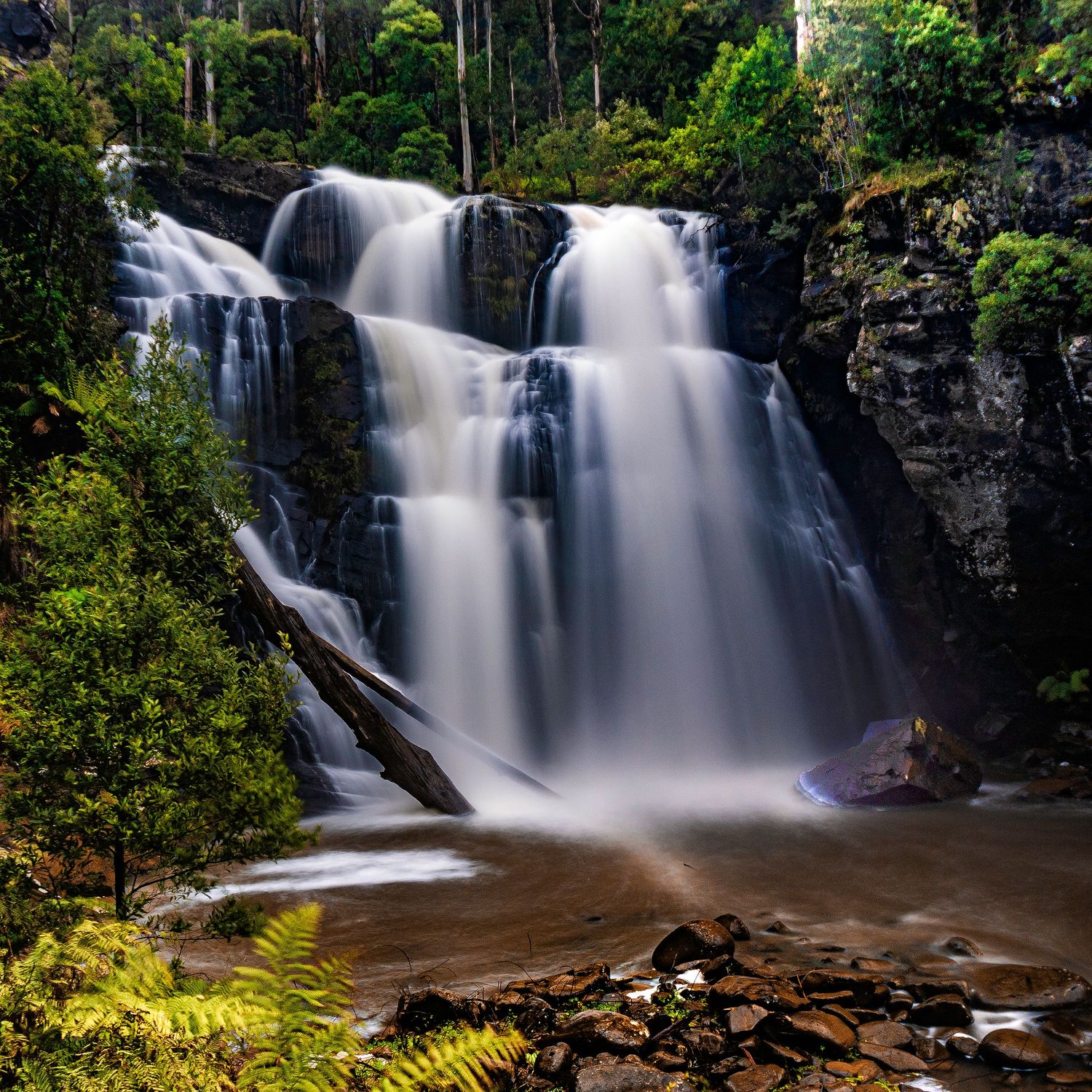 Falls