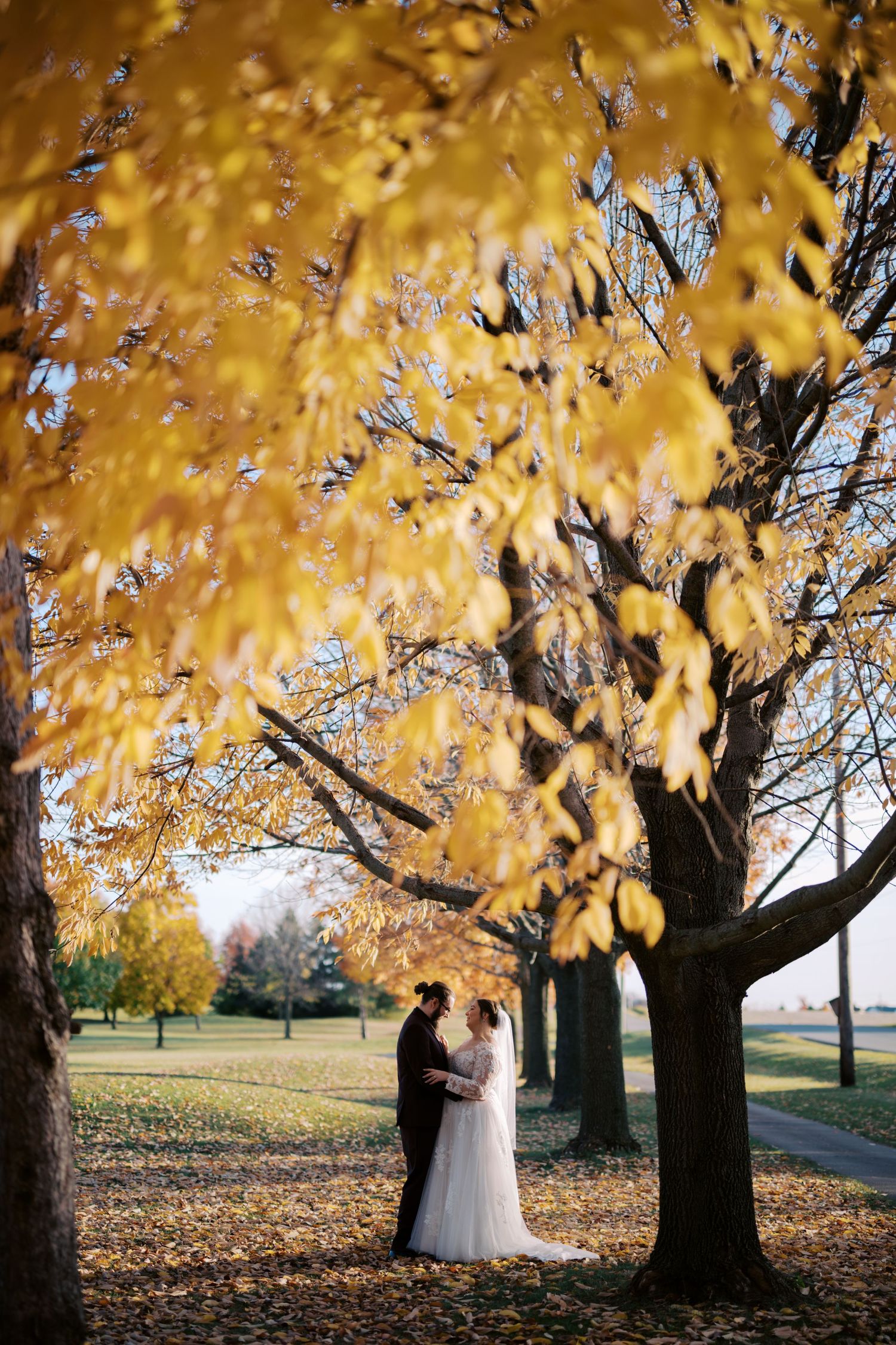 A couple embraces under golden autumn trees in a park with fallen leaves scattered on the ground.