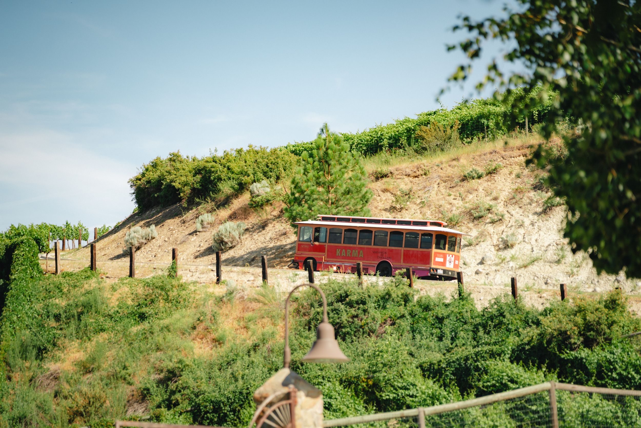 A grassy hill with a wooden walkway and steps leading to the top, with trees and shrubs along the path.