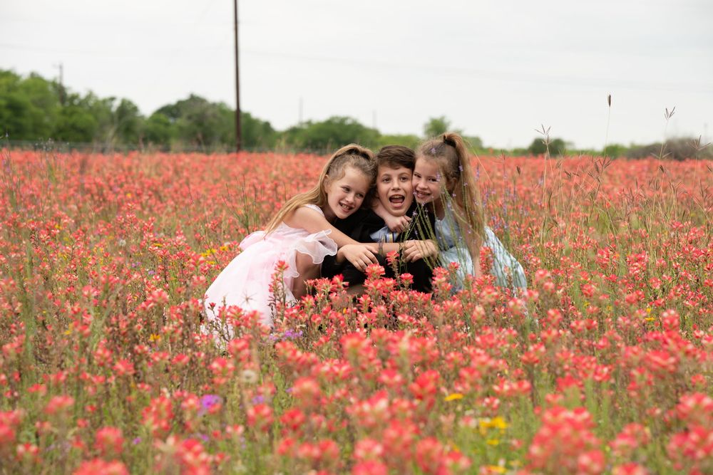 A vibrant field of red poppies stretches across the landscape on a sunny spring day.