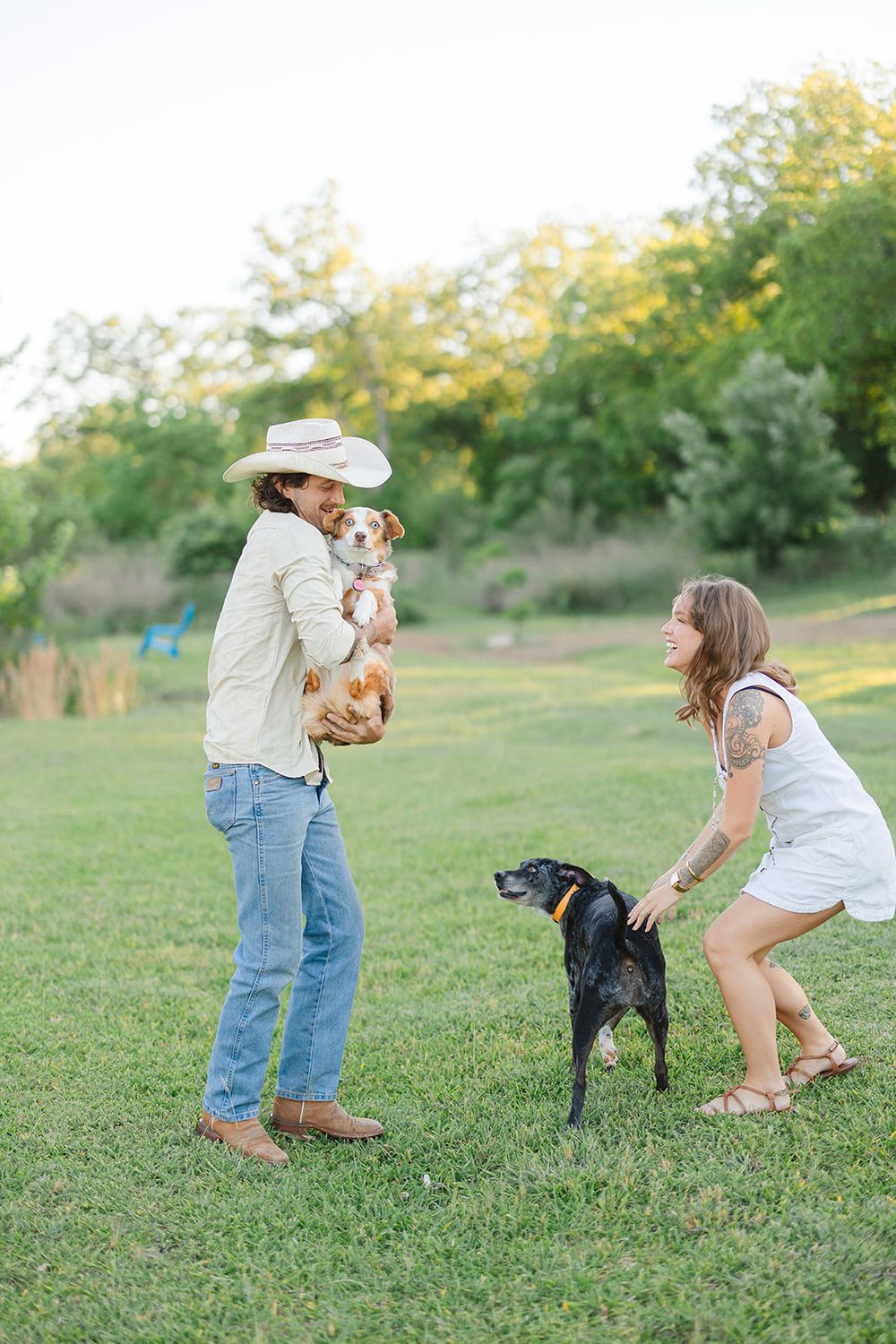 People and their dogs enjoy playful moments together in a grassy field during golden hour.