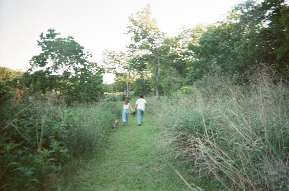Family walks together into the distance across a scenic grassy field at sunset.