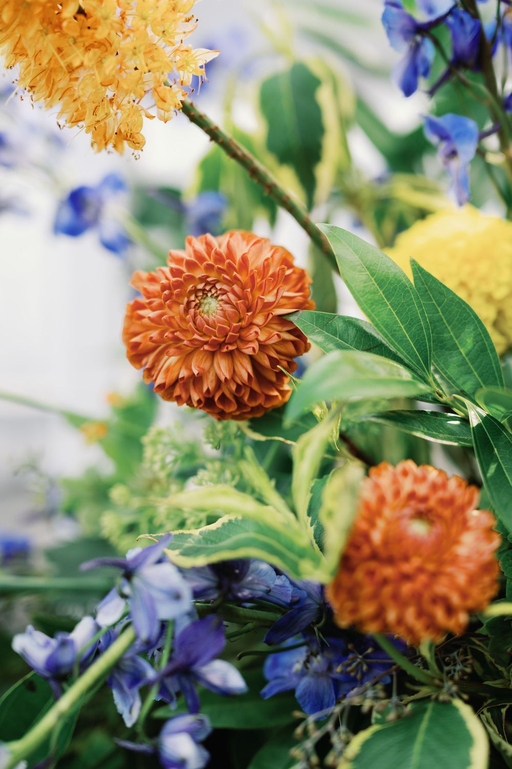 A vibrant floral arrangement featuring orange dahlias and purple delphiniums against a soft background.