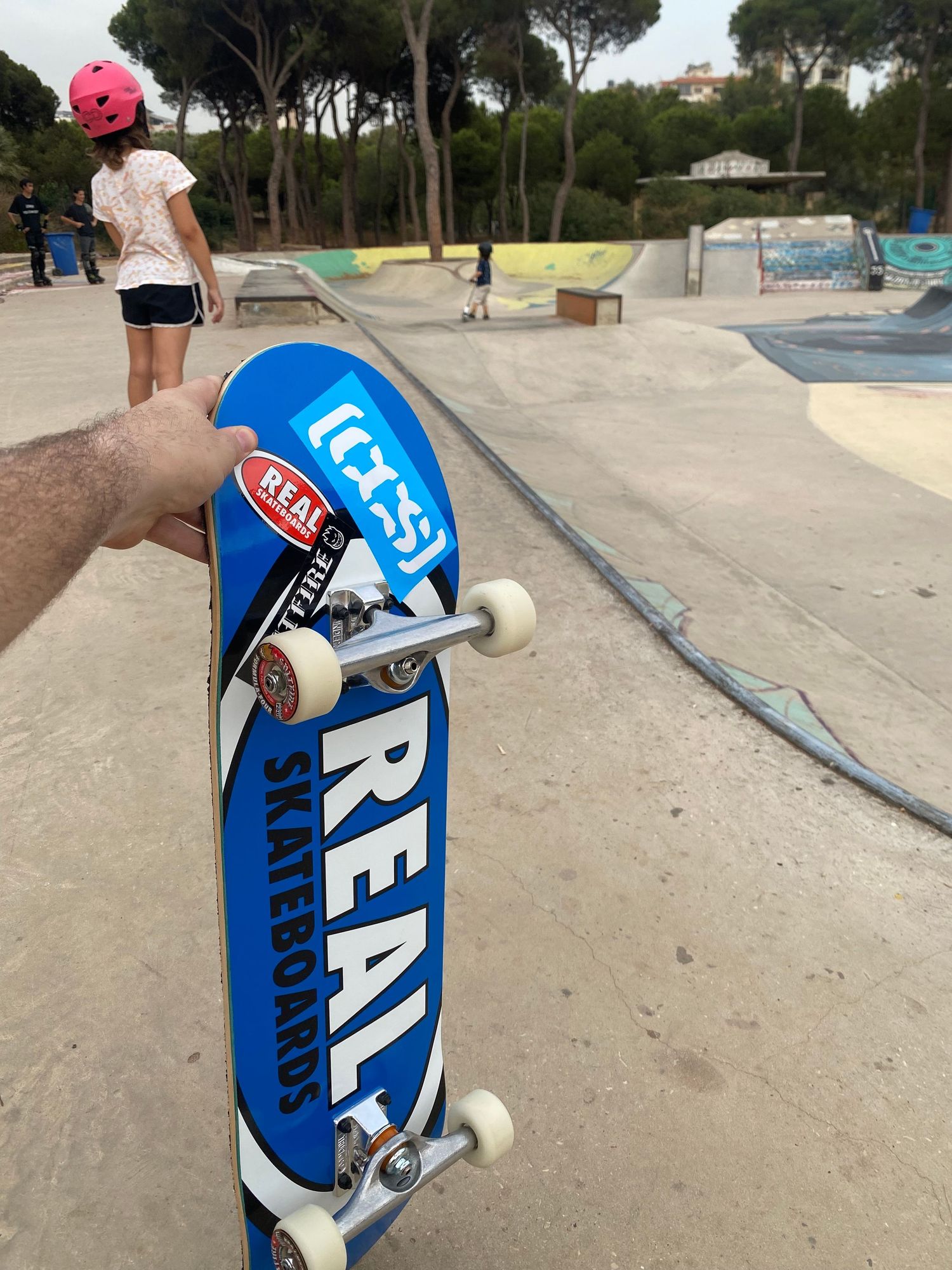 A blue Real skateboard deck being held at a skate park with ramps and pine trees in the background.