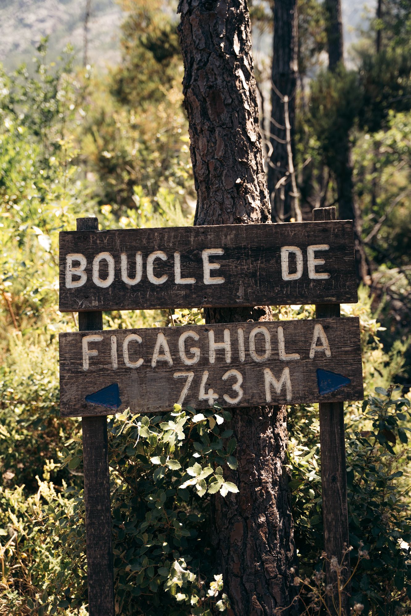 boucle de ficaghiola en balagne