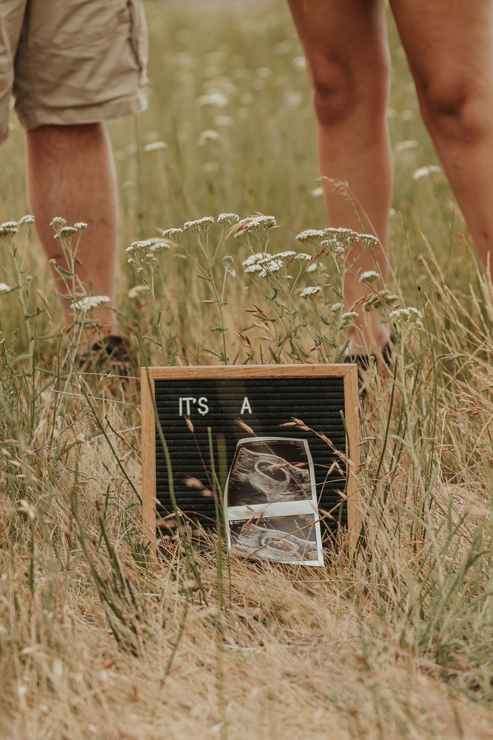 Celebrating gender reveal with pink powder smoke bombs in open field at outdoor photography venue in Spokane, Spokane family photographer