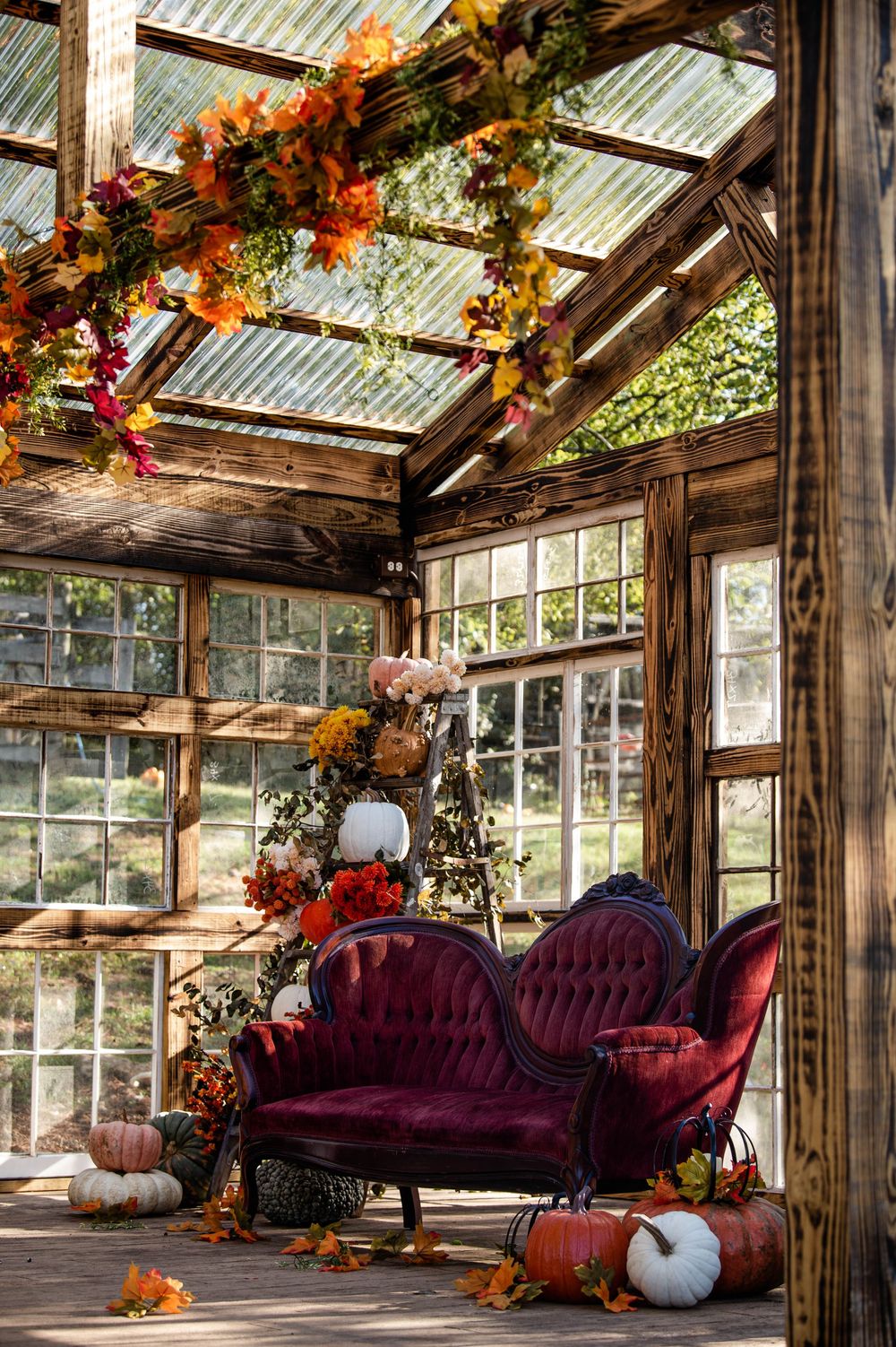 Rustic greenhouse interior with vintage purple velvet furniture and autumn decorations under a glass ceiling.