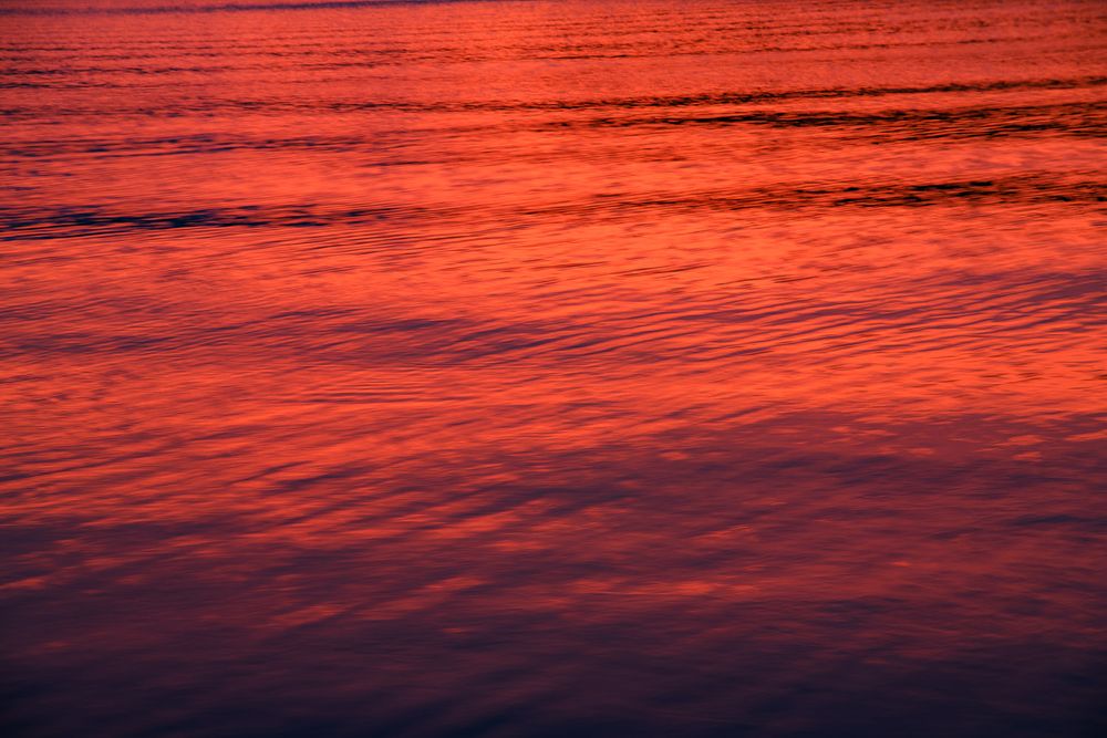 Abstract close-up of deep red and purple sunset light rippling across calm water surface.