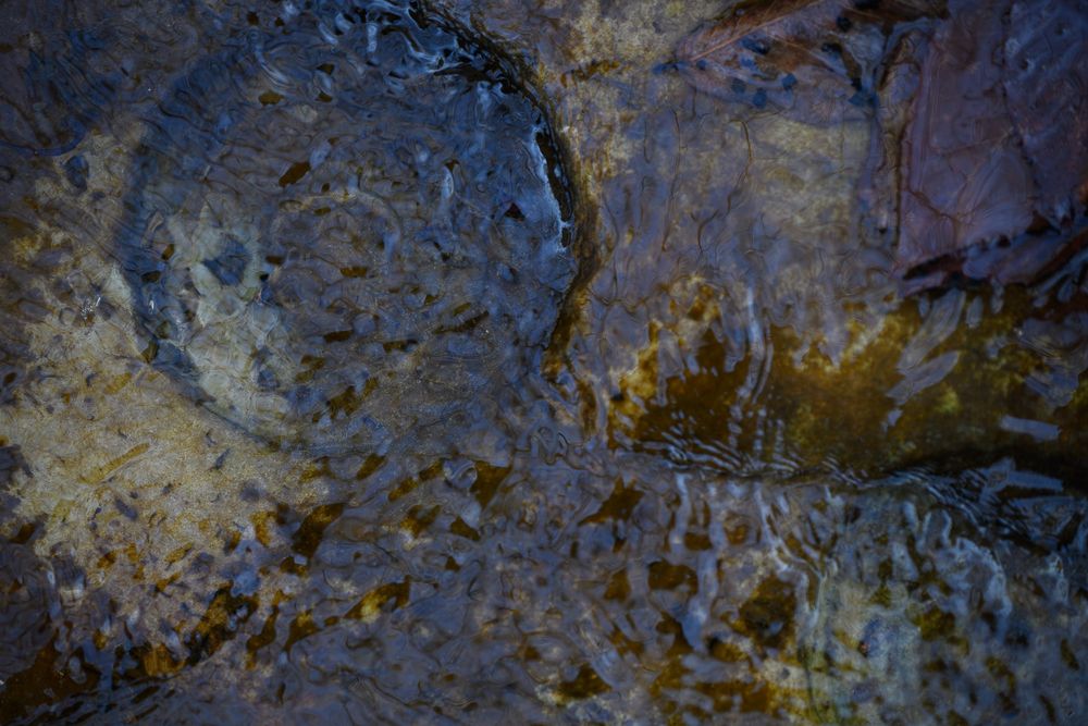 Close-up of swirling water over colorful wet rocks with shades of brown, blue, and gold. Leatherwood Creek Buffalo National River Ponca, AR