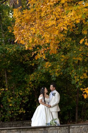 Editorial Image of asian wedding couple kissing with trees behind them