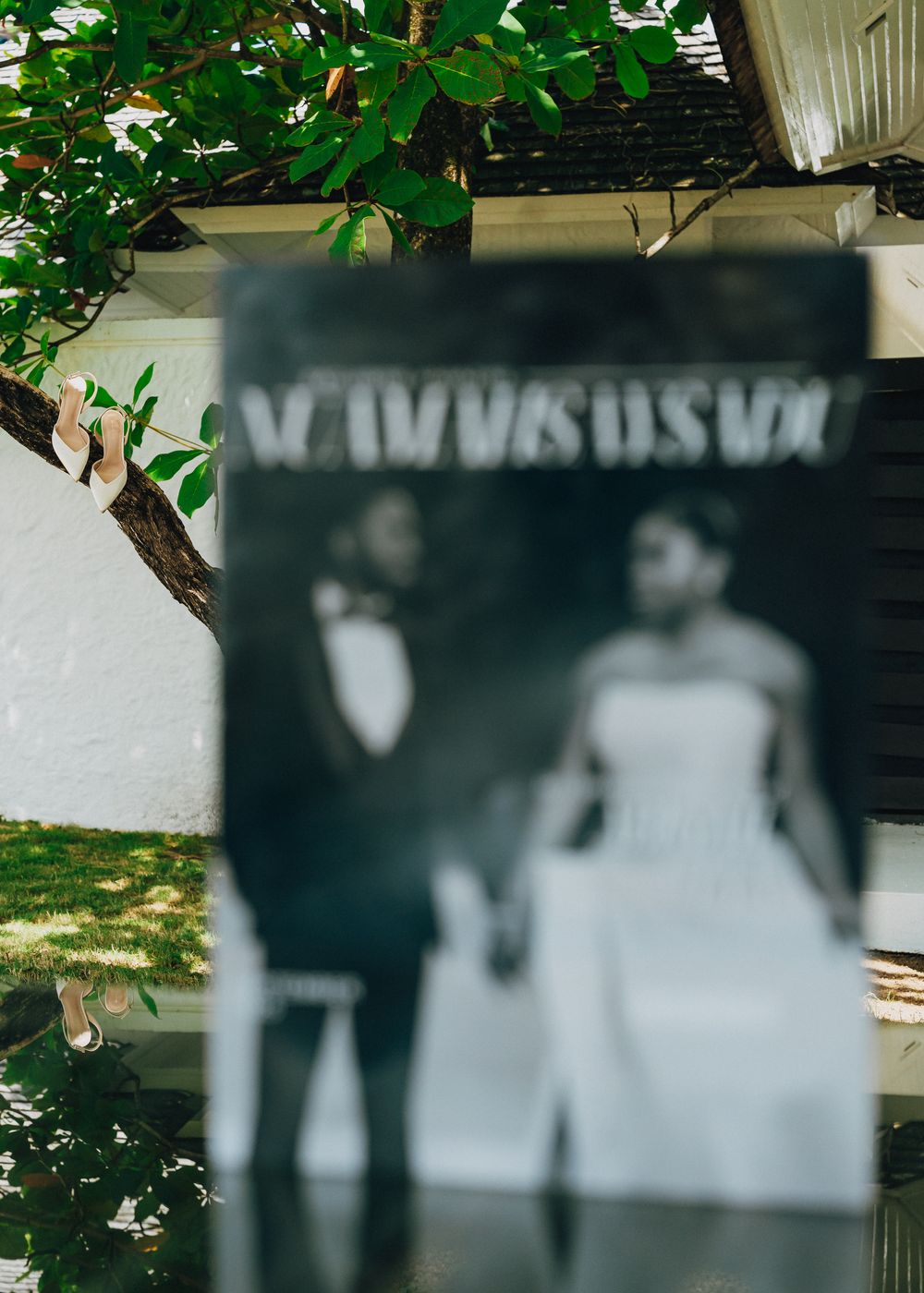 Blurred outdoor scene with green foliage and white architectural elements in the background.