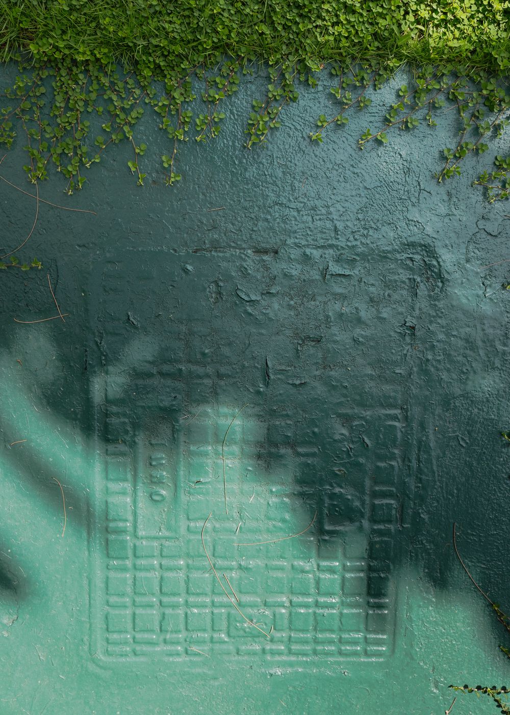 Textured green wall with geometric grid pattern and trailing ivy or vines growing along the top edge.