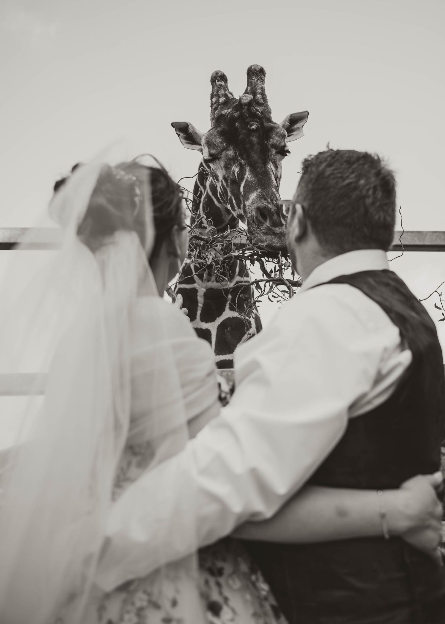 A romantic wedding scene with a couple sitting together in a cozy, dimly lit rustic room with elegant decor at bagden hall, by Daniel Berry