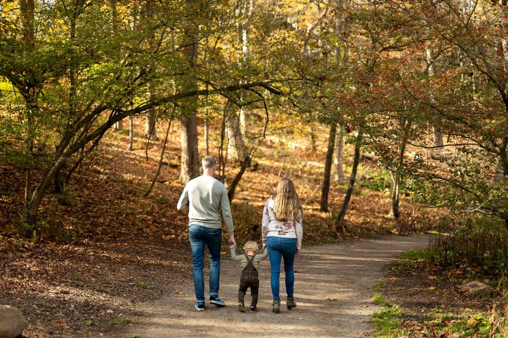 A couple walks their dog down a sunlit autumn forest path from behind.