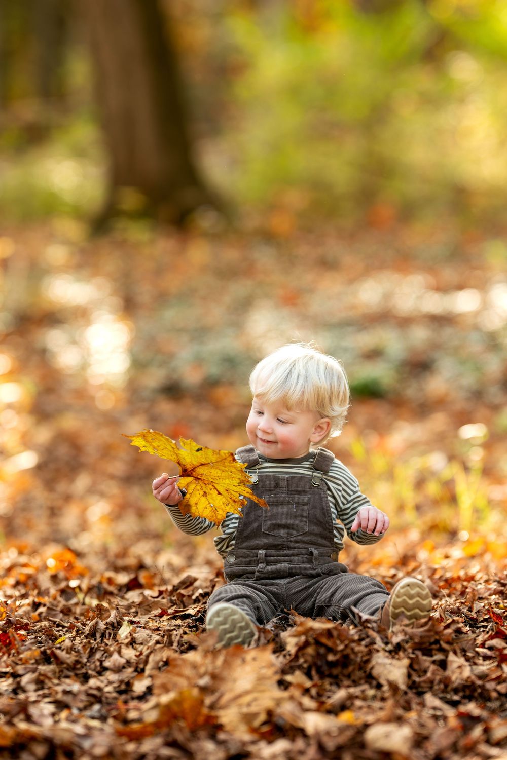 A cheerful blond toddler sits in fallen autumn leaves holding a yellow maple leaf.