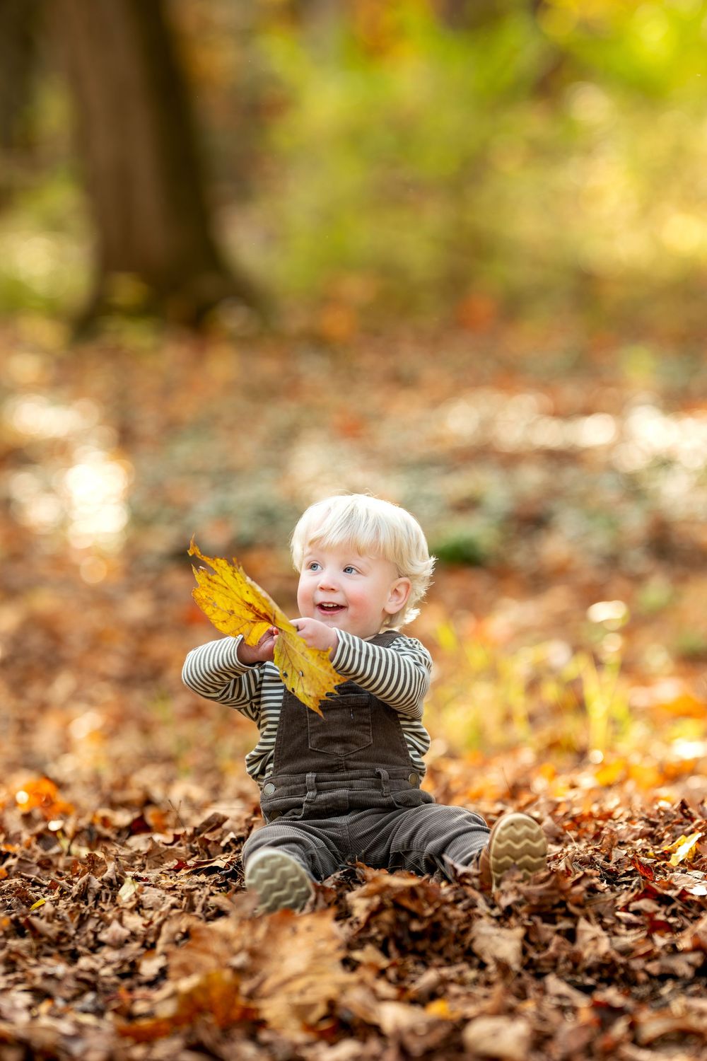 A happy blond toddler sits in fall leaves and gleefully raises a yellow maple leaf.