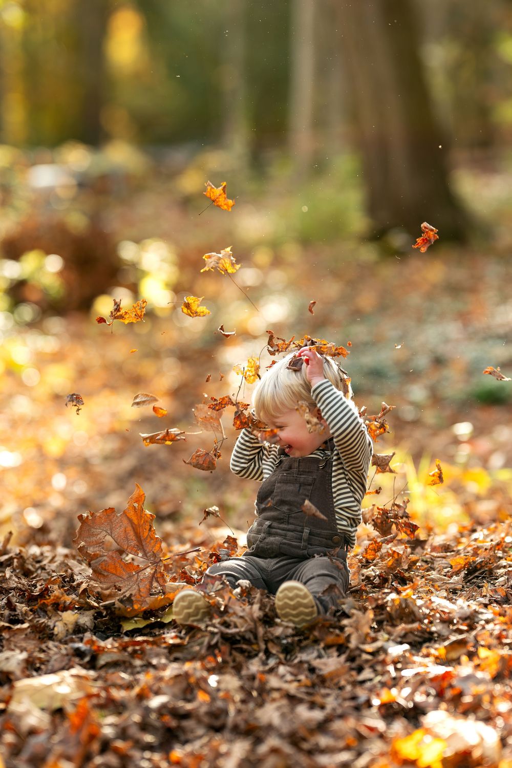 Toddler sitting in autumn leaves in a sunlit forest, joyfully tossing golden fall leaves into the air.