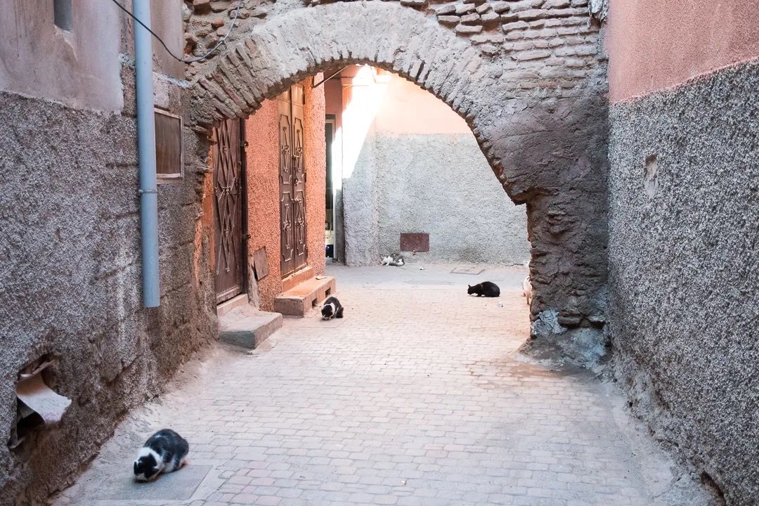 A quiet Moroccan alley with a rustic stone arch and soft morning light across the path.