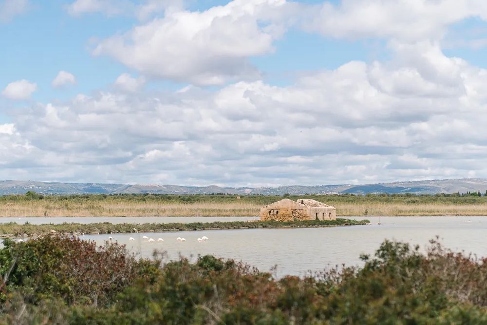 A peaceful wetland landscape with shallow water, reeds, and cloudy skies above.