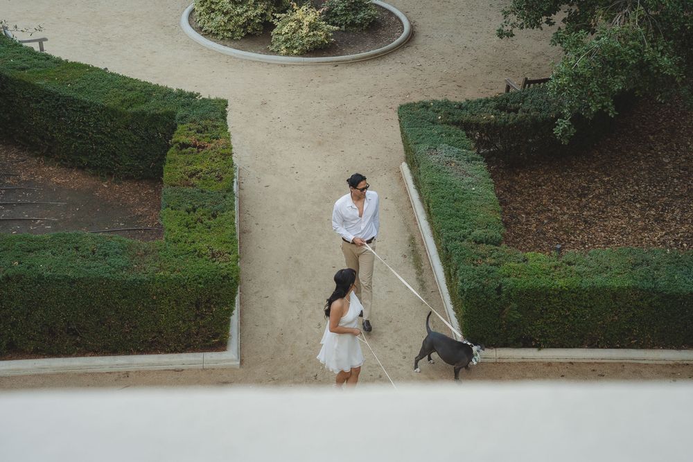 Storytelling photo of couple walking dogs around the courtyard at Pasadena City Hall.