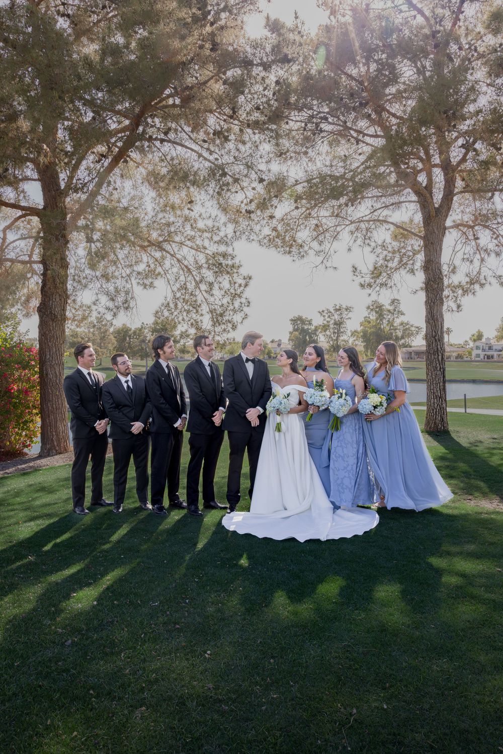 Wedding party with groomsmen in black tuxedos and bridesmaids in dusty blue gowns posing under trees on lawn.