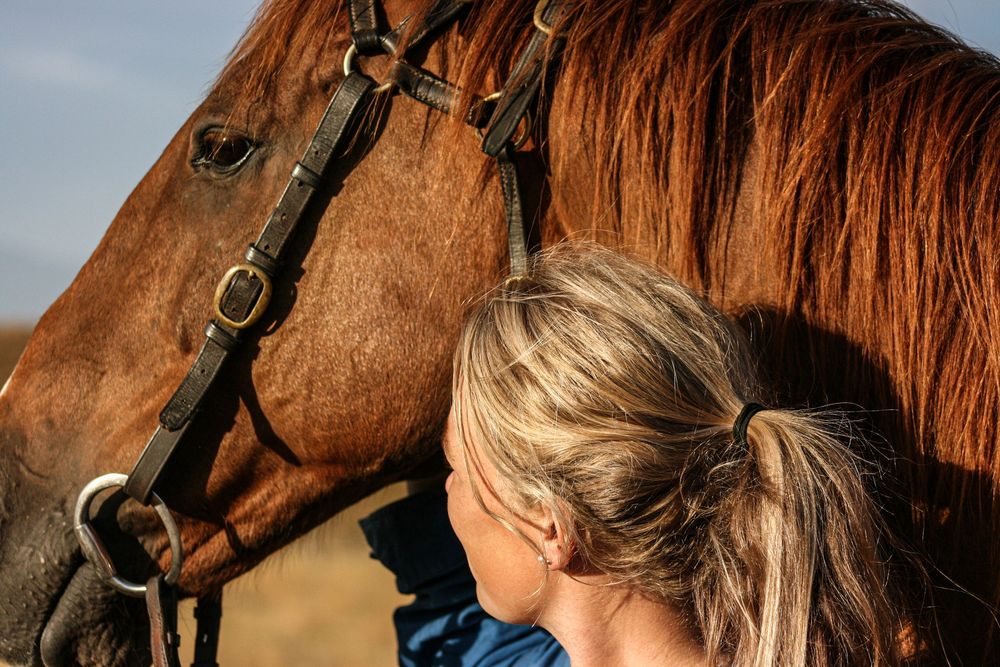 equine-rural-lifestyle-horse-photoshoot-canterbury-new-zealand-whisky-creek.jpg