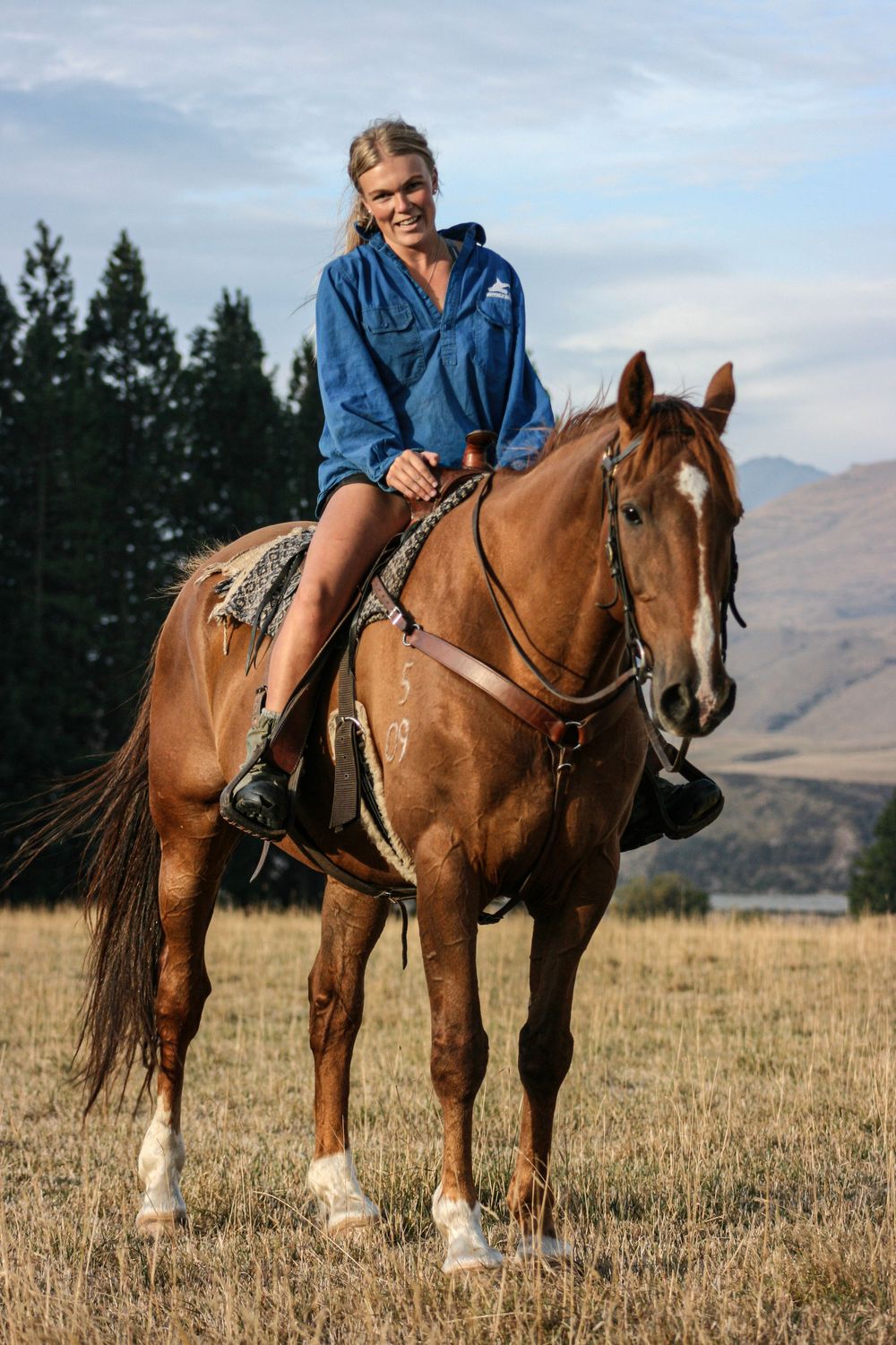equine-rural-lifestyle-horse-photoshoot-canterbury-new-zealand-whisky-creek.jpg