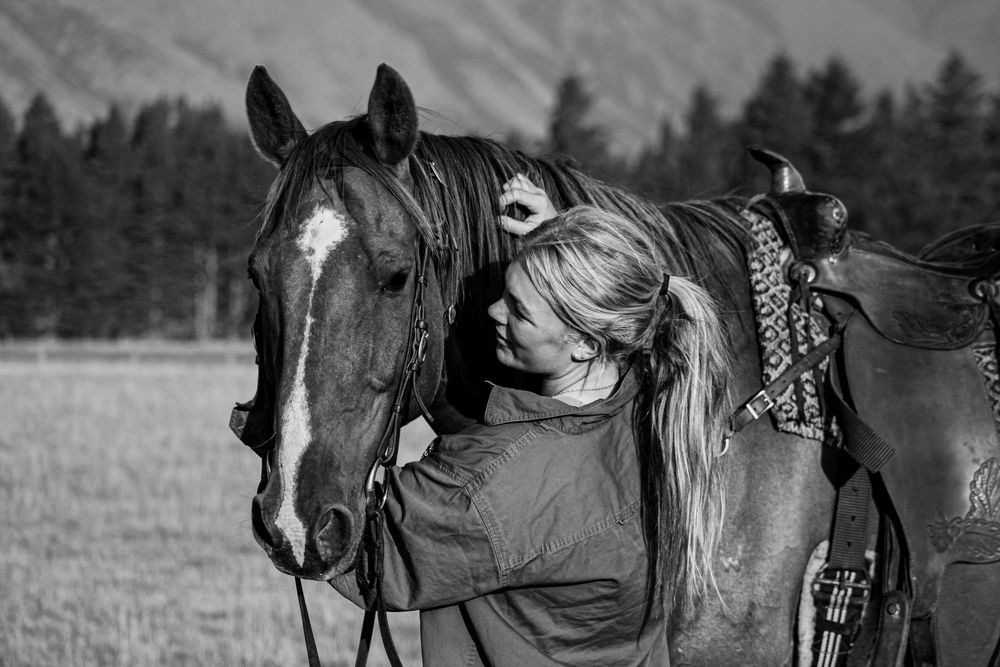 equine-rural-lifestyle-horse-photoshoot-canterbury-new-zealand-whisky-creek.jpg