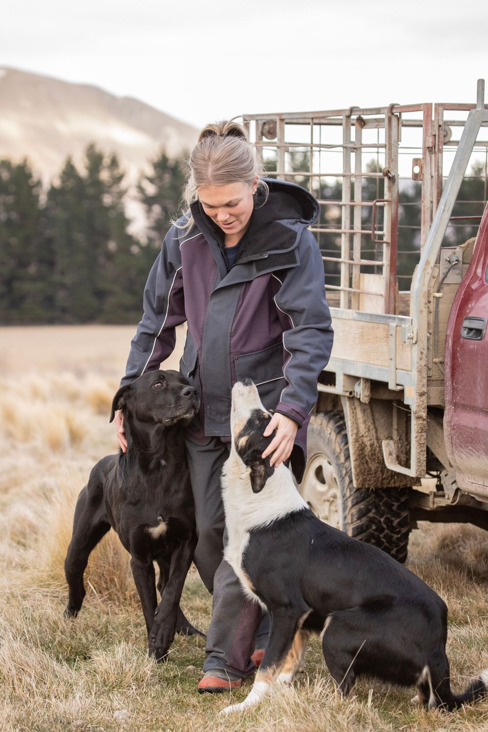 rural-lifestyle-working-dog-photoshoot-farming-whisky-creek.jpg