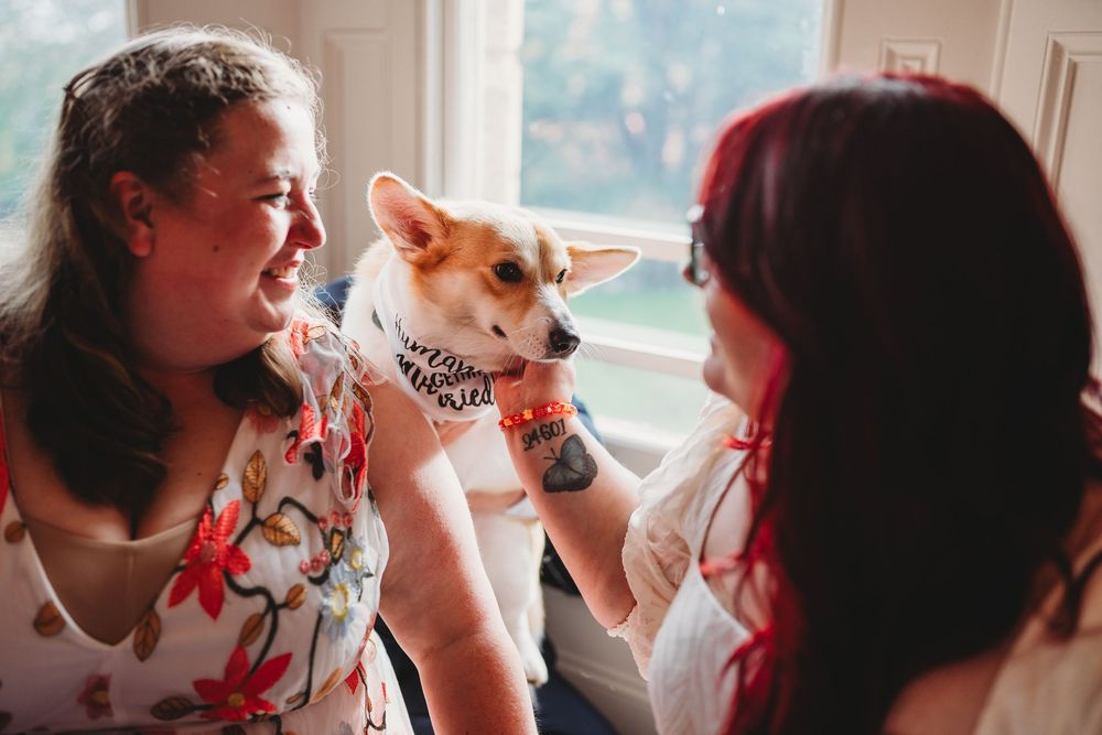 Two people in floral tops sharing a sweet moment with a Corgi wearing a bandana near a window.