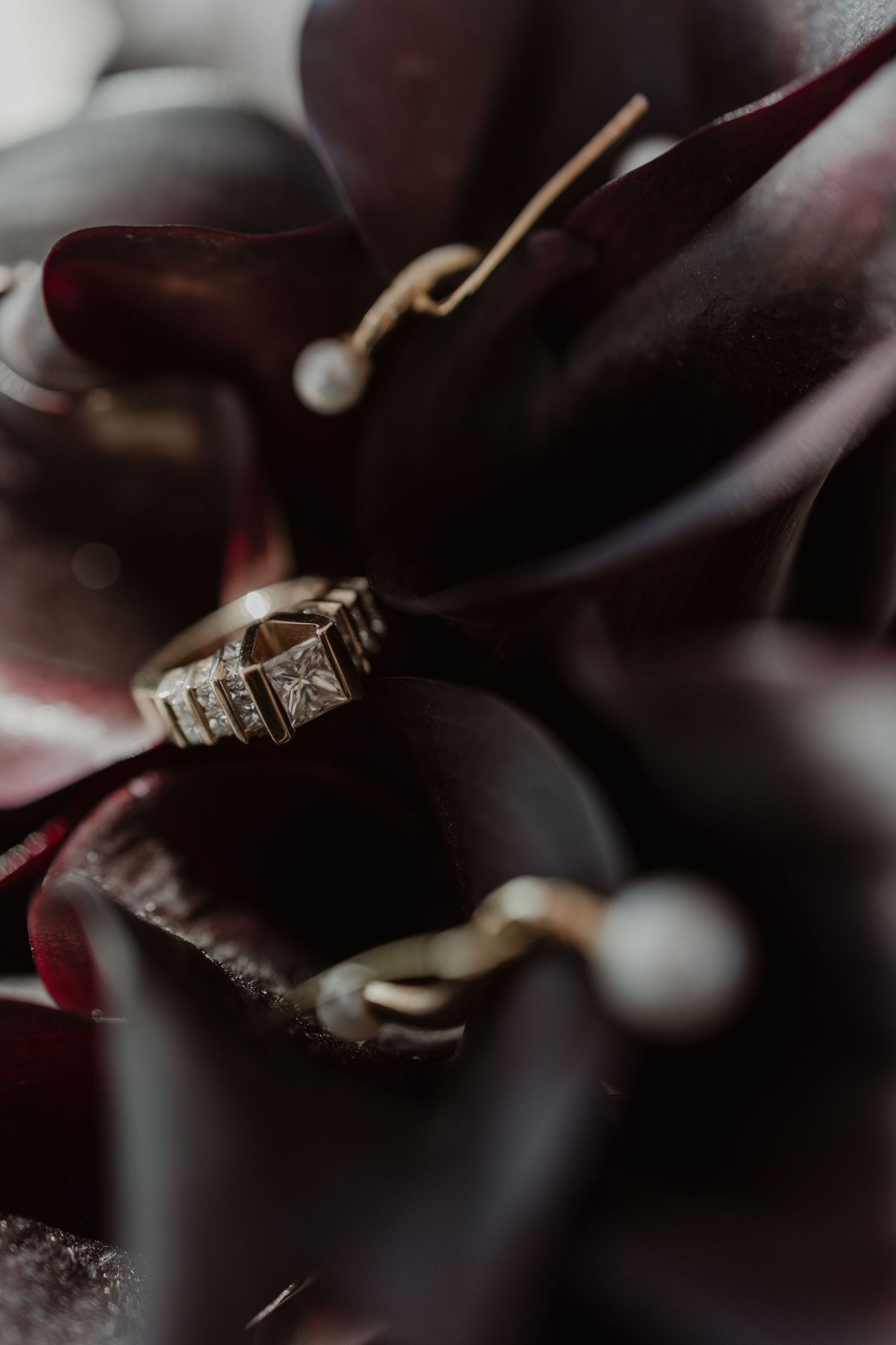 Close-up macro photo of silver engagement rings with diamonds resting on dark background.