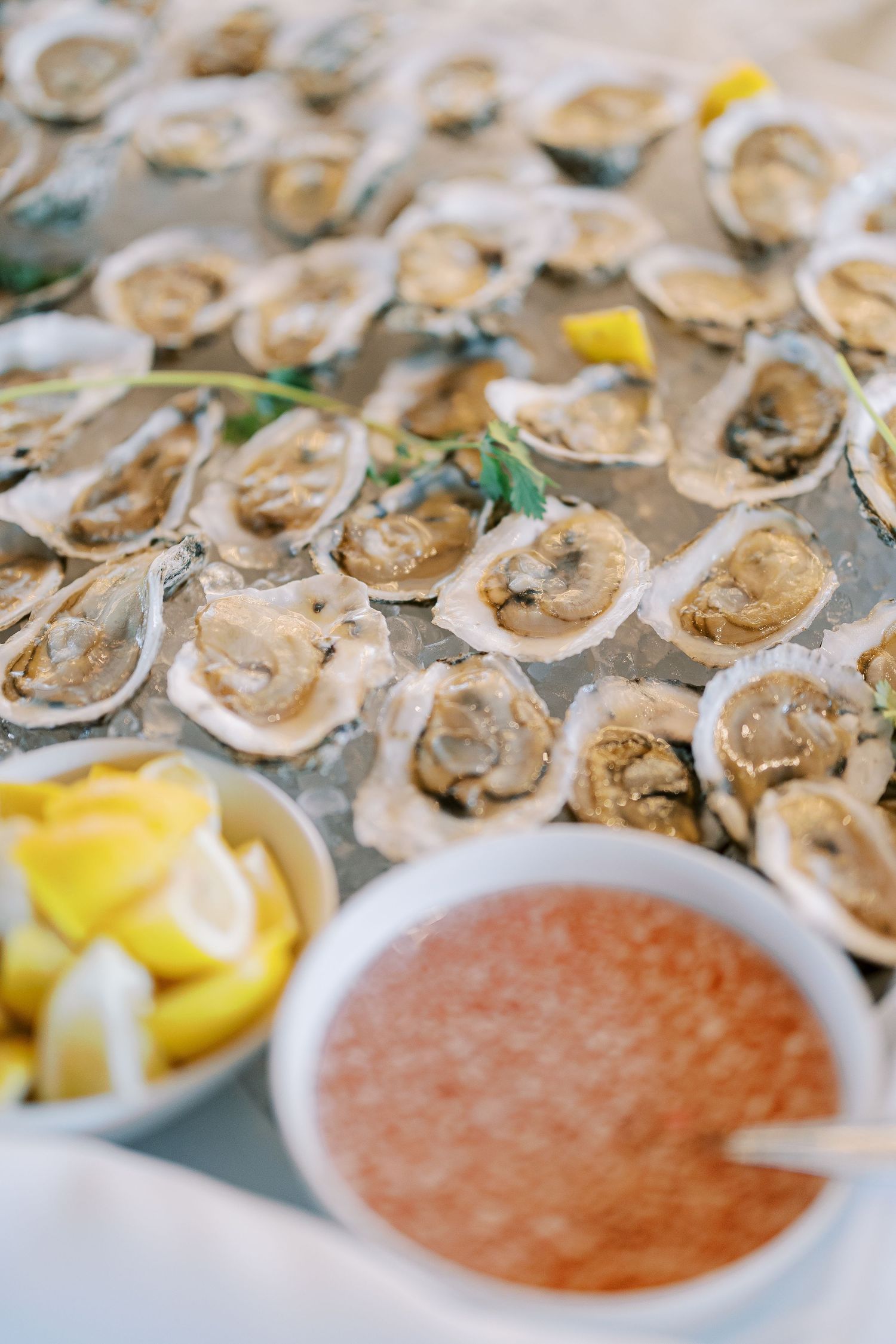 Fresh raw oysters on ice with lemon wedges and cocktail sauce displayed at a catering event.