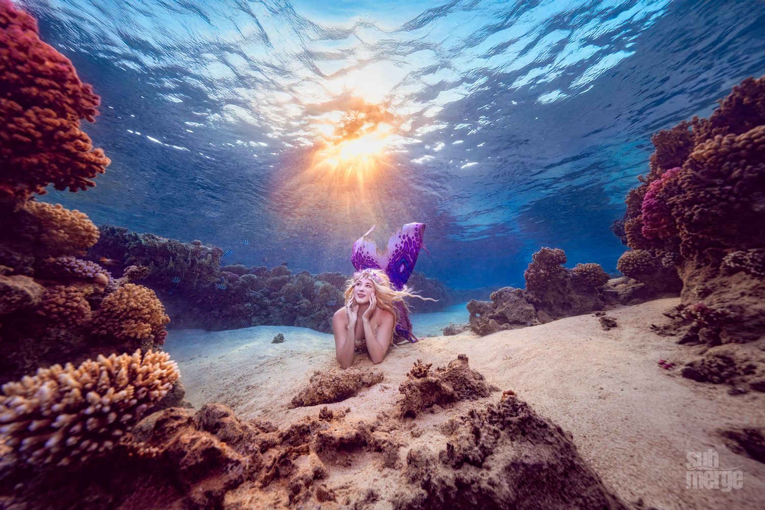 Sunlight streams through crystal-clear ocean water illuminating vibrant coral reefs and marine life in tropical waters.