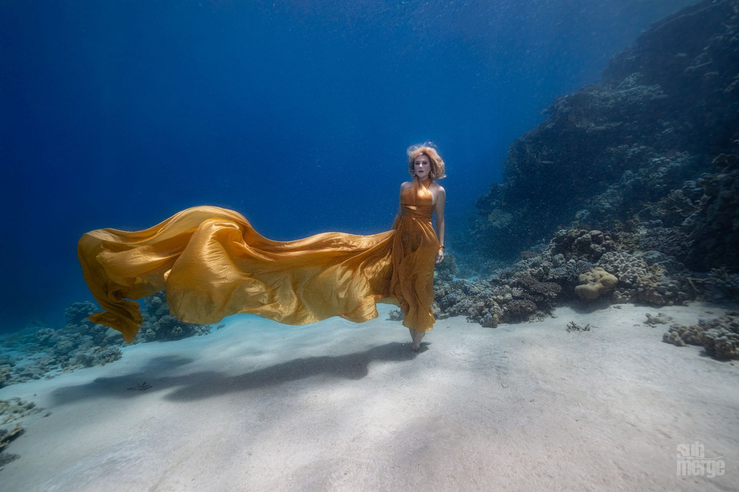 Beautiful woman in flowing golden dress poses underwater in dramatic fashion photoshoot against coral reef background.