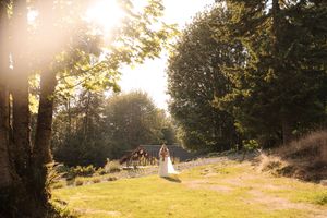Rays of golden sunlight stream through a forest path creating a warm and ethereal glow in nature.