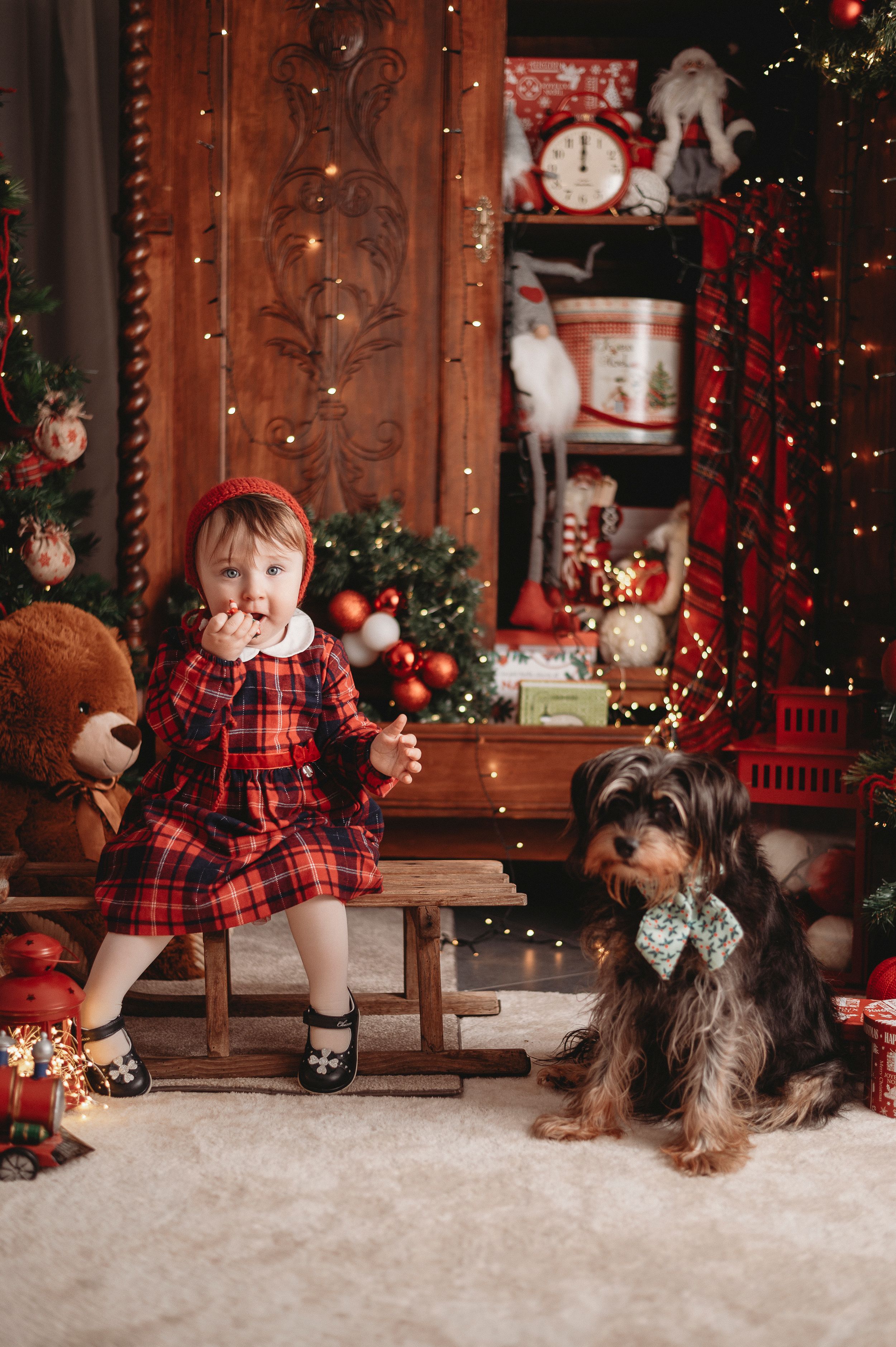 Child in red plaid dress sitting on wooden bench with small dog beside Christmas decorations.