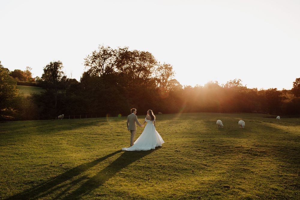 Couple in elegant wedding attire stands in a sunlit meadow with grazing sheep at golden hour.