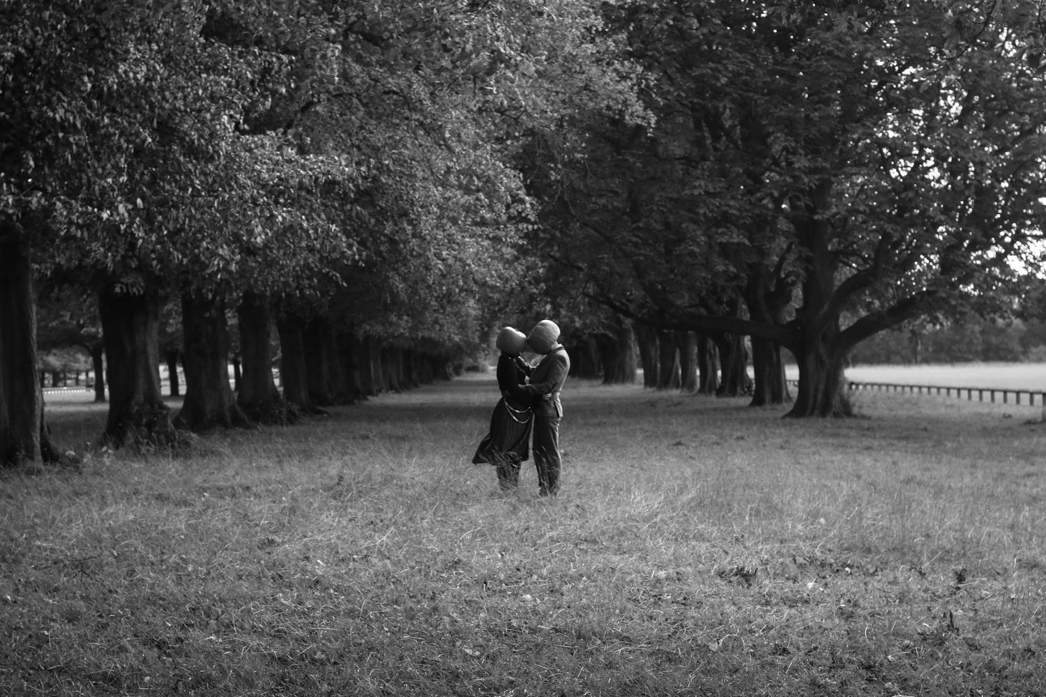 A romantic silhouette of two people embracing on a tree-lined path.
